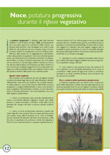 >>> Scarica il file >>>